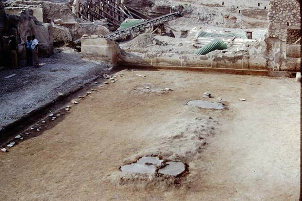 Oplontis, 1975. Root cavities filled. Photo by Stanley A. Jashemski.   
Source: The Wilhelmina and Stanley A. Jashemski archive in the University of Maryland Library, Special Collections (See collection page) and made available under the Creative Commons Attribution-Non Commercial License v.4. See Licence and use details. J75f0286
