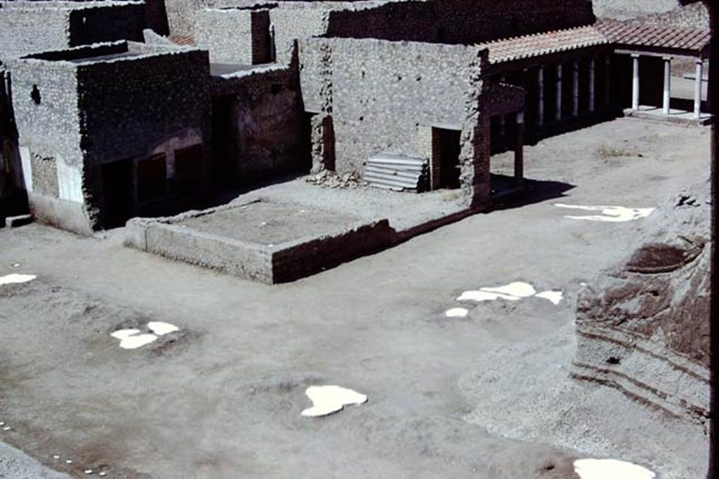 Oplontis, 1975. Looking south-west across east side of north garden, with four tree-root cavities, and two clumps of small trees/bushes, possibly oleanders. Photo by Stanley A. Jashemski.   
Source: The Wilhelmina and Stanley A. Jashemski archive in the University of Maryland Library, Special Collections (See collection page) and made available under the Creative Commons Attribution-Non Commercial License v.4. See Licence and use details. J75f0408
