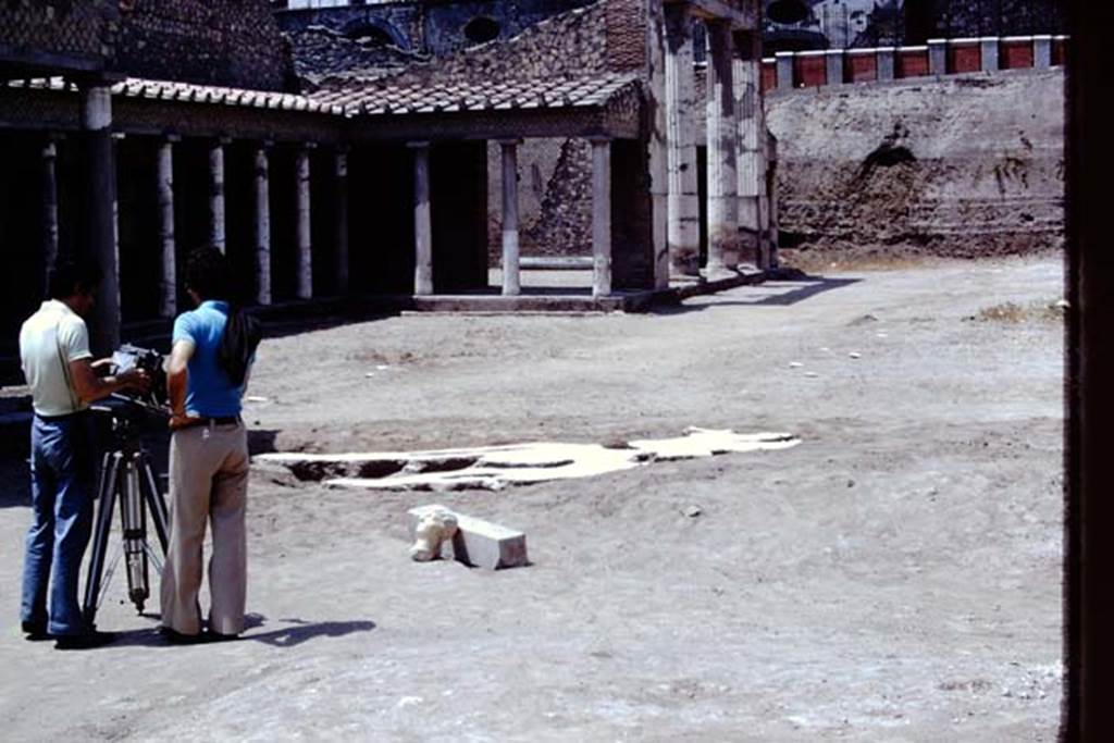 Oplontis, 1975. Looking west across cleaned north garden, with large root cavity, and head and shaft in location of their finding. Photo by Stanley A. Jashemski.   
Source: The Wilhelmina and Stanley A. Jashemski archive in the University of Maryland Library, Special Collections (See collection page) and made available under the Creative Commons Attribution-Non Commercial License v.4. See Licence and use details. J75f0485
