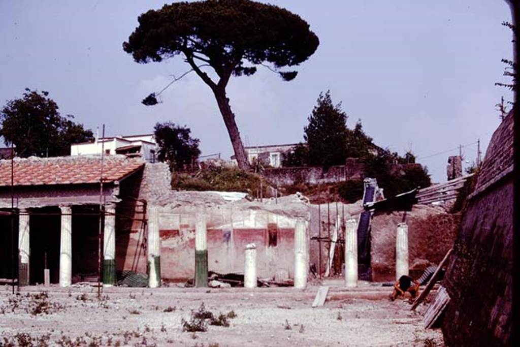 Oplontis, 1976. Area 59, east side and south east corner, into the unexcavated, of south-east peristyle. Photo by Stanley A. Jashemski.   
Source: The Wilhelmina and Stanley A. Jashemski archive in the University of Maryland Library, Special Collections (See collection page) and made available under the Creative Commons Attribution-Non Commercial License v.4. See Licence and use details. J76f0373
