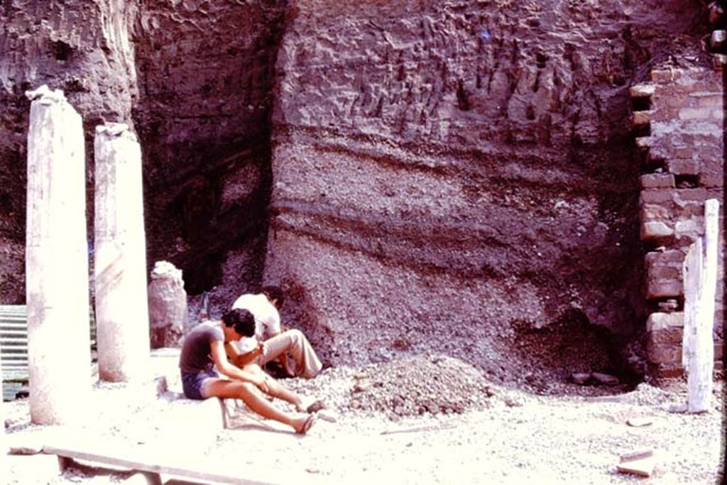 Oplontis, 1976. Area 59, looking south at east end of south-east peristyle, into the unexcavated. Photo by Stanley A. Jashemski.   
Source: The Wilhelmina and Stanley A. Jashemski archive in the University of Maryland Library, Special Collections (See collection page) and made available under the Creative Commons Attribution-Non Commercial License v.4. See Licence and use details. J76f0371
