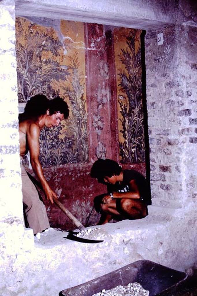 Oplontis, 1976. Looking from room 65, into room 61, the raised garden. Photo by Stanley A. Jashemski.   
Source: The Wilhelmina and Stanley A. Jashemski archive in the University of Maryland Library, Special Collections (See collection page) and made available under the Creative Commons Attribution-Non Commercial License v.4. See Licence and use details. J76f0410
