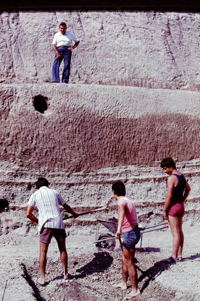 Oplontis, 1977. Digging through to original ground level, and the height of the eruption debris behind them. Photo by Stanley A. Jashemski.   
Source: The Wilhelmina and Stanley A. Jashemski archive in the University of Maryland Library, Special Collections (See collection page) and made available under the Creative Commons Attribution-Non Commercial License v.4. See Licence and use details. J77f0110
