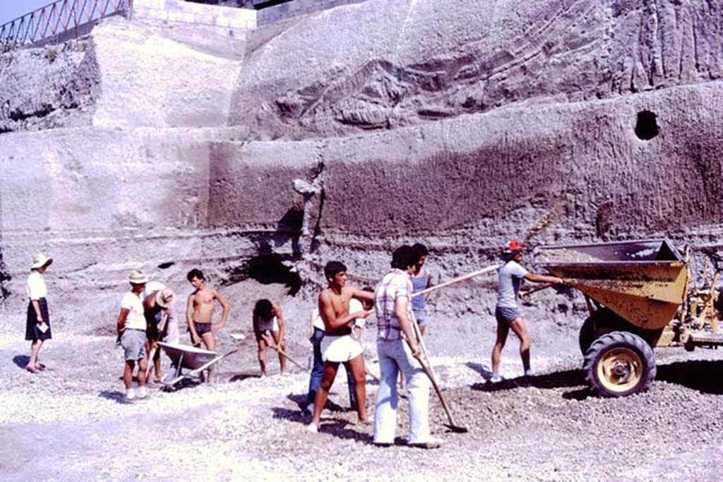 Oplontis, 1977. Looking north-west at north end of north (rear) garden. Photo by Stanley A. Jashemski.   
Source: The Wilhelmina and Stanley A. Jashemski archive in the University of Maryland Library, Special Collections (See collection page) and made available under the Creative Commons Attribution-Non Commercial License v.4. See Licence and use details. J77f0169
