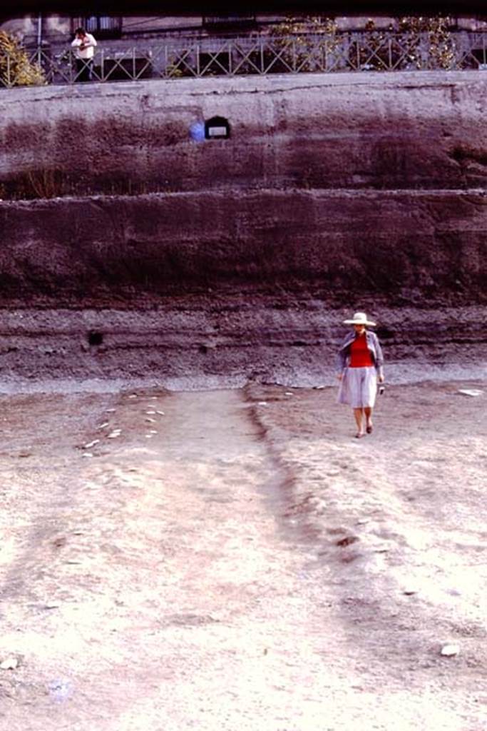 Oplontis, 1977. Looking  north from room 21, along the central pathway across north garden towards the unexcavated.  Photo by Stanley A. Jashemski.   
Source: The Wilhelmina and Stanley A. Jashemski archive in the University of Maryland Library, Special Collections (See collection page) and made available under the Creative Commons Attribution-Non Commercial License v.4. See Licence and use details. J77f0312
