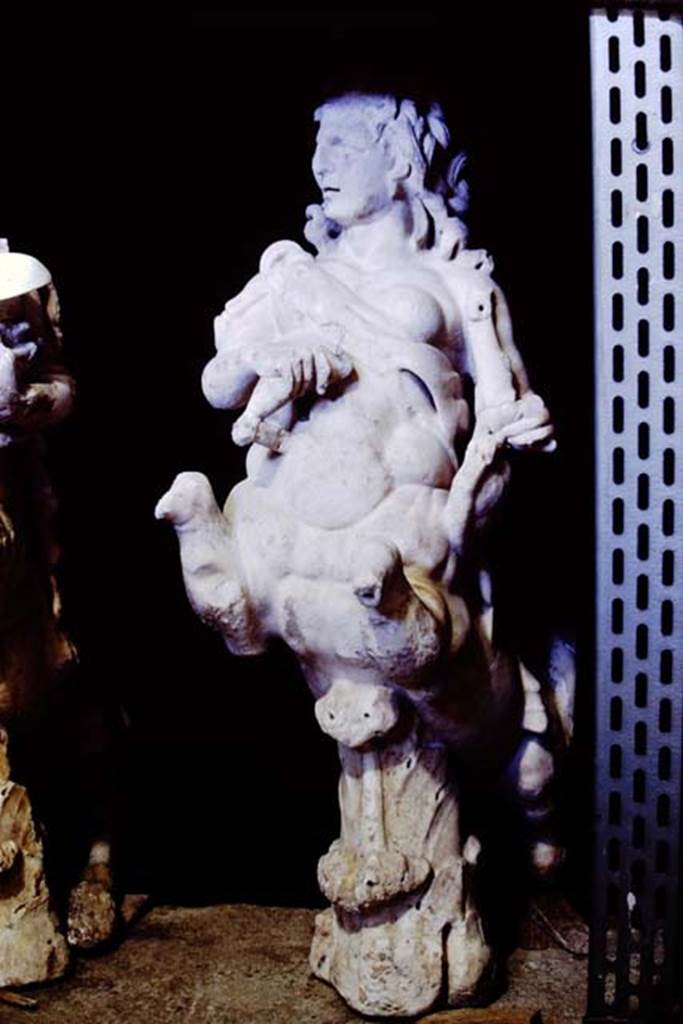 Oplontis Villa of Poppea, 1977. One of a group of four centaurs, a female holding a club and a lyre. 
Two centaur fountains had been on each side of the passageway.
There was no evidence of pipes, so they had not been used as fountains in their final location.
Photo by Stanley A. Jashemski.
SAP inventory number 70055. 
Source: The Wilhelmina and Stanley A. Jashemski archive in the University of Maryland Library, Special Collections (See collection page) and made available under the Creative Commons Attribution-Non Commercial License v.4. See Licence and use details.
J77f0341
