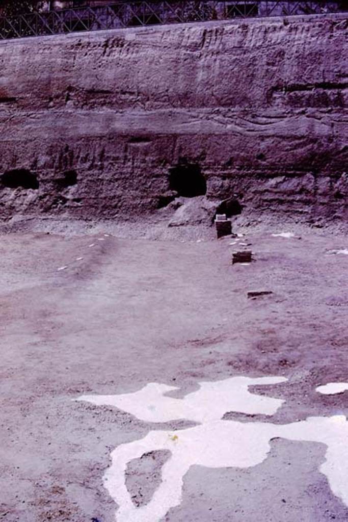 Oplontis, 1977. Looking north-west in the north garden.
Looking from the huge root cavity found in 1974, which took 230 large buckets of cement to fill in 1975, along the diagonal line of a pathway, with bases.
Wilhelmina thought the diagonal pathway probably joined with the central pathway leading out from room 21, although this could not be proved as the meeting point would be under the still unexcavated area.
Photo by Stanley A. Jashemski.
Source: The Wilhelmina and Stanley A. Jashemski archive in the University of Maryland Library, Special Collections (See collection page) and made available under the Creative Commons Attribution-Non Commercial License v.4. See Licence and use details.
J77f0358
According to Wilhelmina, �At the edge of the diagonal passageway on the east, four masonry statue bases were found. On them the marble shafts that supported the sculptured white marble heads had been mounted. In 1975, we had found the portrait head of a woman of the Julio-Claudian period. In addition, the Italian excavators had found the head of the goddess Aphrodite, the child Dionysus and the fine head of a Julio-Claudian boy, which some claimed was most certainly the child Nero.
These herms, which would have been set in the middle of clumps of plants, mainly oleanders, reminded us of the garden paintings that showed sculpture set amid masses of flowering oleanders. Only the shaft of one other herm was found, and a few details of the hair still on the shaft were sufficient for Stefano De Caro to identify the missing head as that of a bearded archaic-type Dionysus. 
See Jashemski, W.F., 2014. Discovering the Gardens of Pompeii: Memoirs of a Garden Archaeologist, (p.255)
