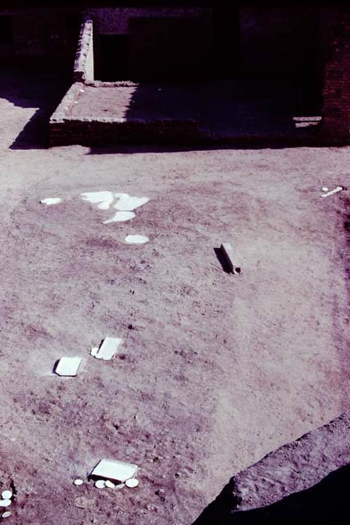 Oplontis, 1977. Looking south across root-cavities, herm and path leading to room 58 and 54. Photo by Stanley A. Jashemski.   
Source: The Wilhelmina and Stanley A. Jashemski archive in the University of Maryland Library, Special Collections (See collection page) and made available under the Creative Commons Attribution-Non Commercial License v.4. See Licence and use details. J77f0397
