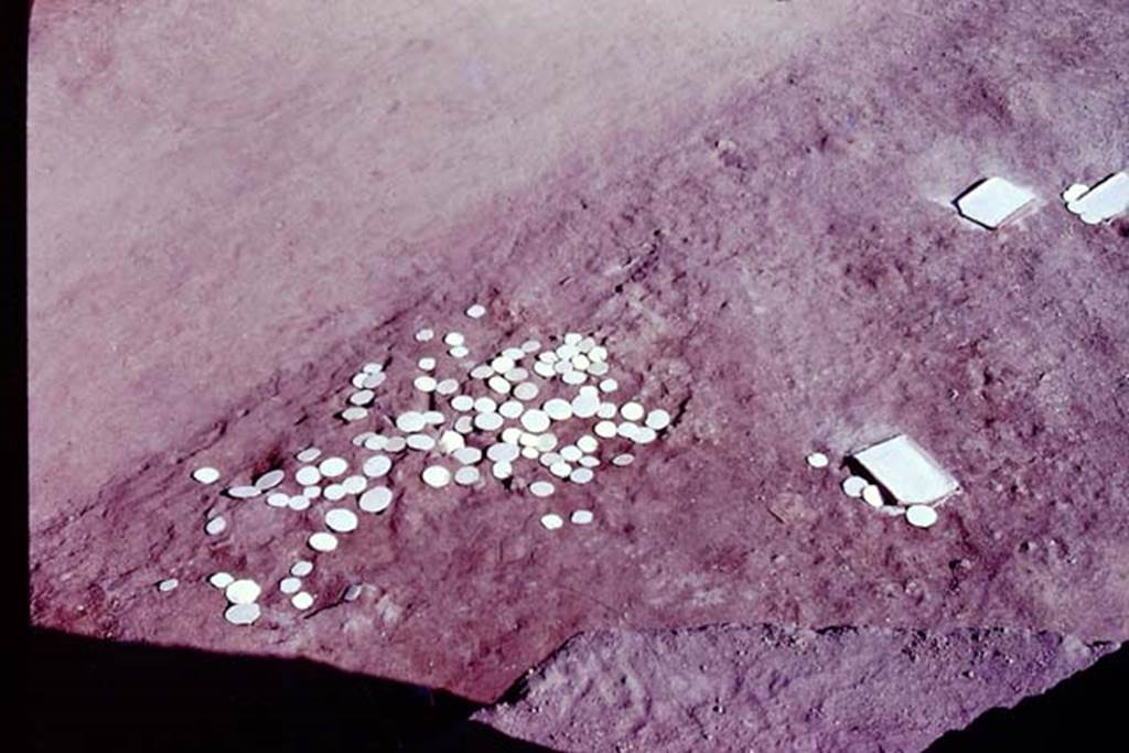 Oplontis, 1977. Looking south across the large clump of root-cavities found at north end of rear garden. Photo by Stanley A. Jashemski.   
Source: The Wilhelmina and Stanley A. Jashemski archive in the University of Maryland Library, Special Collections (See collection page) and made available under the Creative Commons Attribution-Non Commercial License v.4. See Licence and use details. J77f0395

