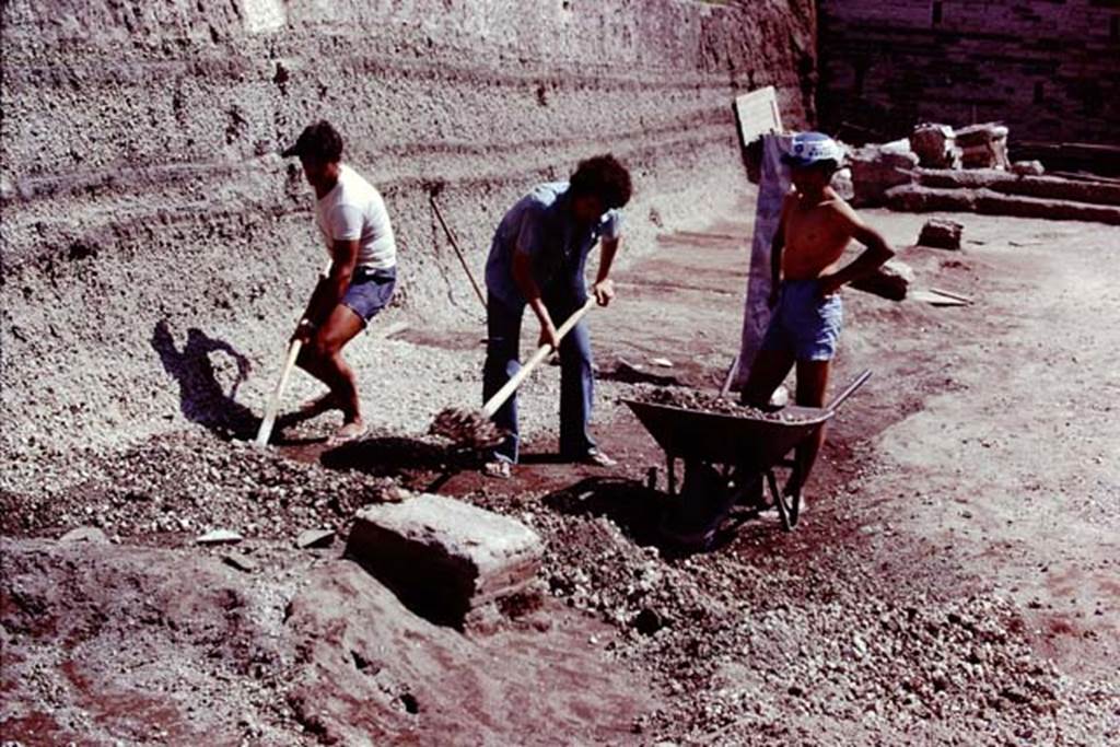 Oplontis, 1978. Removing the lapilli down to the original soil level, and finding a line of statue bases. Photo by Stanley A. Jashemski.   
Source: The Wilhelmina and Stanley A. Jashemski archive in the University of Maryland Library, Special Collections (See collection page) and made available under the Creative Commons Attribution-Non Commercial License v.4. See Licence and use details. J78f0255
