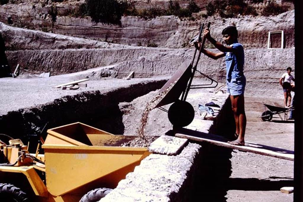 Oplontis, 1978. Looking north along east side of pool, showing the enormous task of excavating in a �quarry�.  Photo by Stanley A. Jashemski.   
Source: The Wilhelmina and Stanley A. Jashemski archive in the University of Maryland Library, Special Collections (See collection page) and made available under the Creative Commons Attribution-Non Commercial License v.4. See Licence and use details. J78f0315
