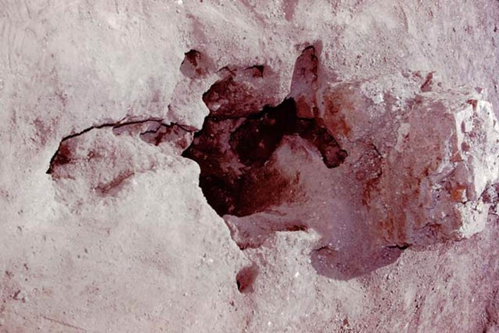 Oplontis, 1978. Root cavity behind statue base I. Photo by Stanley A. Jashemski.   
Source: The Wilhelmina and Stanley A. Jashemski archive in the University of Maryland Library, Special Collections (See collection page) and made available under the Creative Commons Attribution-Non Commercial License v.4. See Licence and use details. J78f0341
