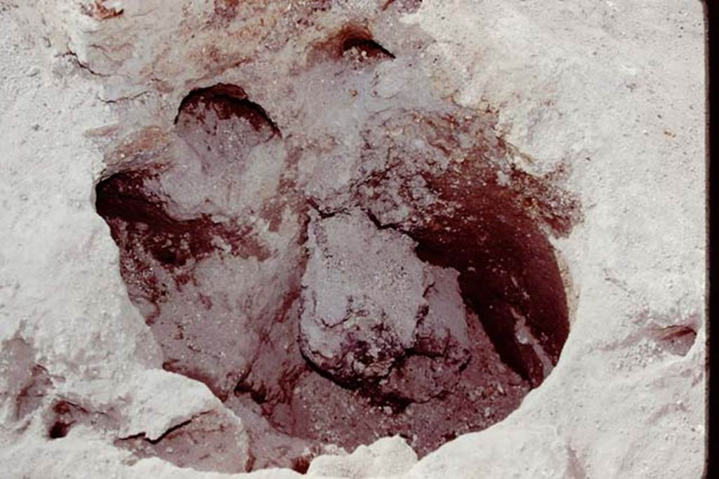 Oplontis, 1978. Root cavity behind statue base II. Photo by Stanley A. Jashemski.   
Source: The Wilhelmina and Stanley A. Jashemski archive in the University of Maryland Library, Special Collections (See collection page) and made available under the Creative Commons Attribution-Non Commercial License v.4. See Licence and use details. J78f0343

