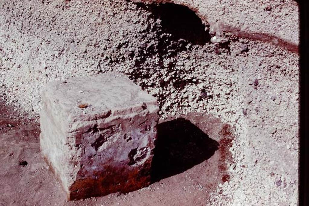 Oplontis, 1978. Statue base VI. Photo by Stanley A. Jashemski.   
Source: The Wilhelmina and Stanley A. Jashemski archive in the University of Maryland Library, Special Collections (See collection page) and made available under the Creative Commons Attribution-Non Commercial License v.4. See Licence and use details. J78f0355
According to Wilhelmina, �Those behind statue base one, two, four and five, counting from the south were of large trees.  Behind statue base VI, the root cavity was identified as an oleander.�
See Jashemski, W.F., 2014. Discovering the Gardens of Pompeii: Memoirs of a Garden Archaeologist, (p.266).
