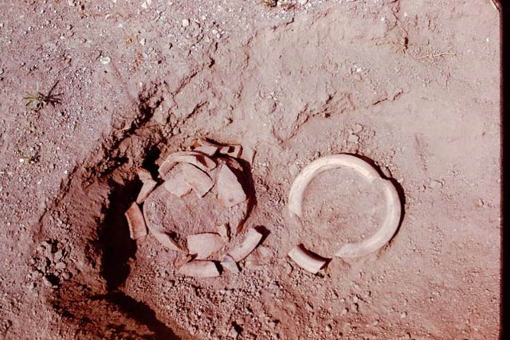 Oplontis, 1978. Detail of the two broken buried pots but with no root cavities. Photo by Stanley A. Jashemski.   
Source: The Wilhelmina and Stanley A. Jashemski archive in the University of Maryland Library, Special Collections (See collection page) and made available under the Creative Commons Attribution-Non Commercial License v.4. See Licence and use details. J78f0655
