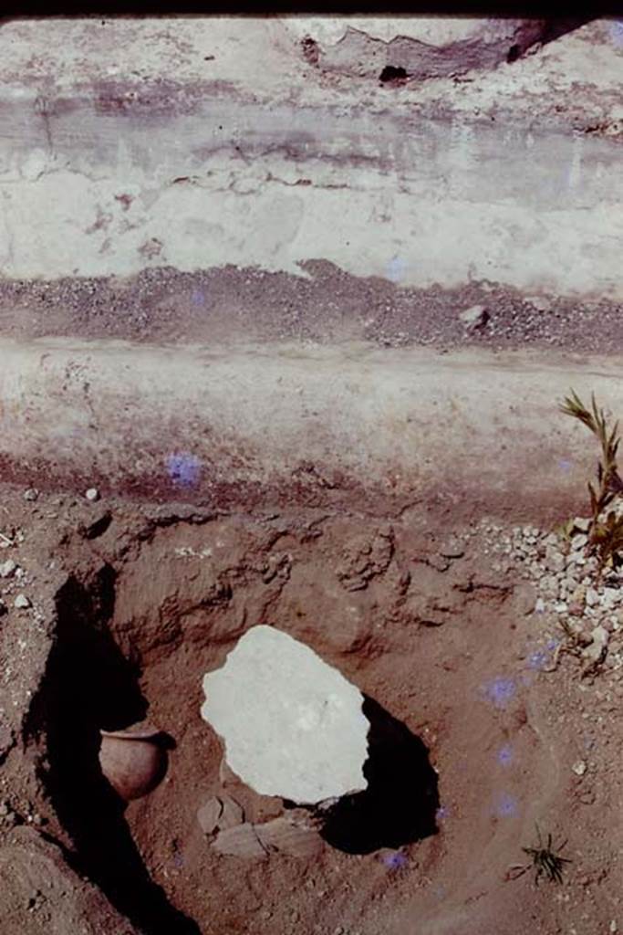 Oplontis, 1978. Filled root cavity, with second slanting pot. Photo by Stanley A. Jashemski.   
Source: The Wilhelmina and Stanley A. Jashemski archive in the University of Maryland Library, Special Collections (See collection page) and made available under the Creative Commons Attribution-Non Commercial License v.4. See Licence and use details. J78f0669
