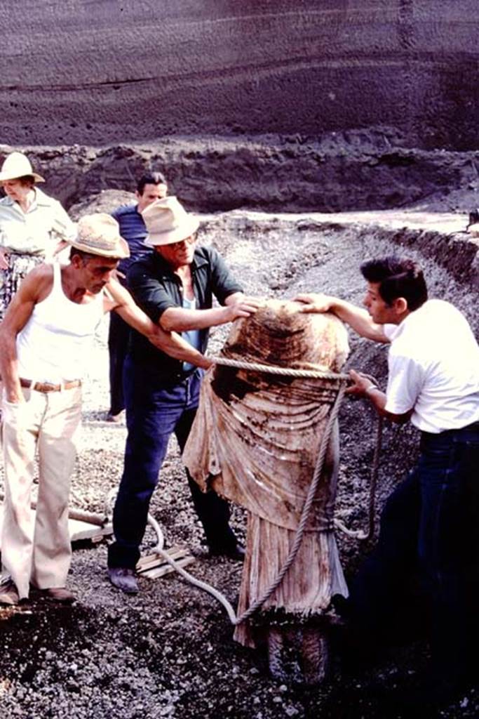 Oplontis Villa of Poppea, July 1983. Statue carefully being removed from lapilli. In the background is Wilhelmina.
Source: The Wilhelmina and Stanley A. Jashemski archive in the University of Maryland Library, Special Collections (See collection page) and made available under the Creative Commons Attribution-Non Commercial License v.4. See Licence and use details. Oplo0154
According to Wilhelmina, writing in 1984 � �So far six of the white marble statues that were displayed on the statue bases have been recovered. Beginning at the south end, there was a head of Hercules on the marble pillar on statue base 3, next an ephebe, and then a large statue of Nike. (see 1978 Jashemski excavations).
Balancing these in corresponding positions along the north end of the pool, was another Nike from statue base 10, a statue of Artemis/Diana (?) still standing on the statue base in front of root cavity 11, and next a head of Hercules on the marble pillar on the base in front of root cavity 12.�
See Jashemski, W.F., 2014. Discovering the Gardens of Pompeii: Memoirs of a Garden Archaeologist, (p.292)
