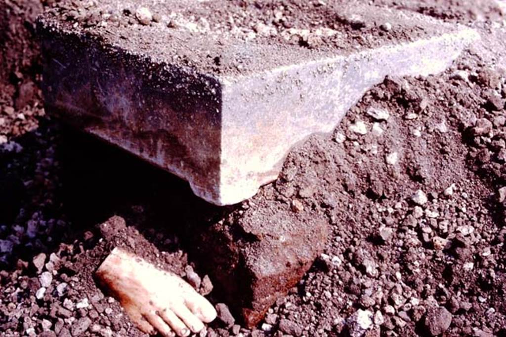 Oplontis Villa of Poppea, July 1983. Statue base 11 (XI), and a broken statue foot.
Source: The Wilhelmina and Stanley A. Jashemski archive in the University of Maryland Library, Special Collections (See collection page) and made available under the Creative Commons Attribution-Non Commercial License v.4. See Licence and use details. Oplo0226
