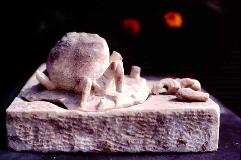 Oplontis, c.1984. Small statue of crab, with broken legs.
Source: The Wilhelmina and Stanley A. Jashemski archive in the University of Maryland Library, Special Collections (See collection page) and made available under the Creative Commons Attribution-Non Commercial License v.4. See Licence and use details. Oplo0238
