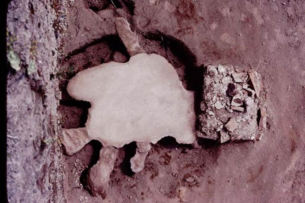 Oplontis, c.1984. Filled root cavity of a large tree, and statue base nearby. 
Source: The Wilhelmina and Stanley A. Jashemski archive in the University of Maryland Library, Special Collections (See collection page) and made available under the Creative Commons Attribution-Non Commercial License v.4. See Licence and use details. Oplo0136

