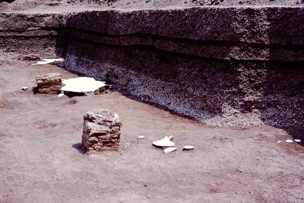 Oplontis, c.1984. Looking north towards statue bases IX, (nearest), X and XI, on east side of swimming pool.
Source: The Wilhelmina and Stanley A. Jashemski archive in the University of Maryland Library, Special Collections (See collection page) and made available under the Creative Commons Attribution-Non Commercial License v.4. See Licence and use details. Oplo0257 
