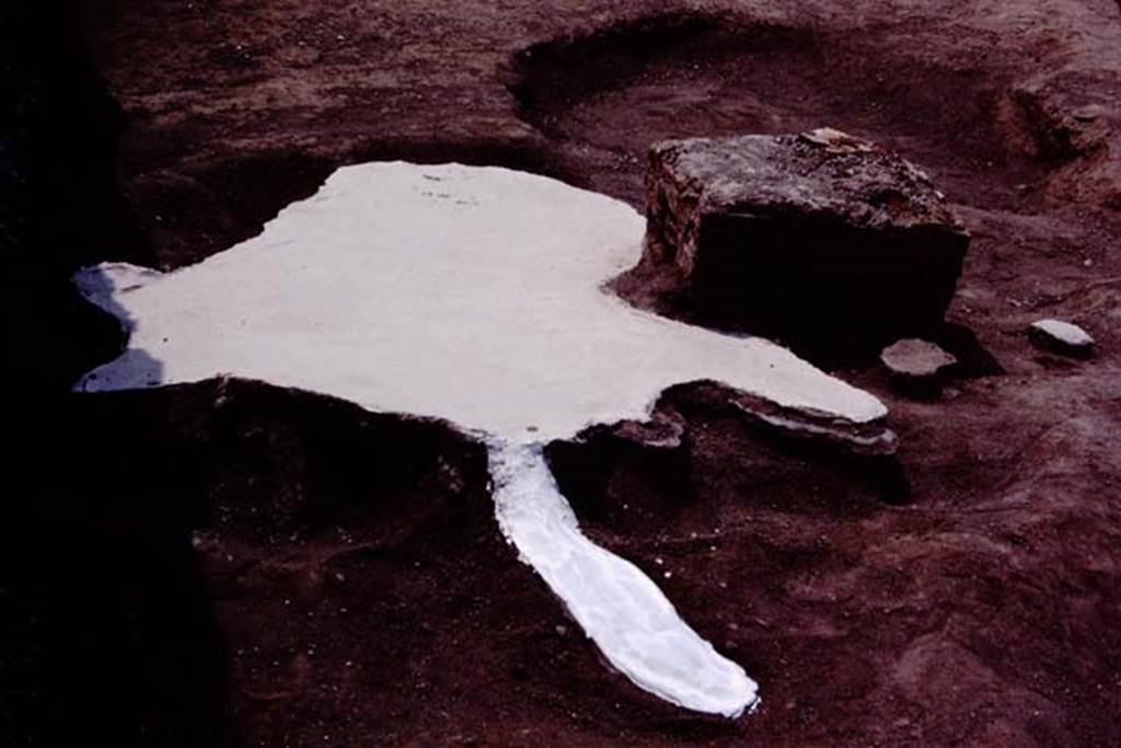 Oplontis, c.1984. Filled root cavity of a large tree, with statue base V nearby.
Source: The Wilhelmina and Stanley A. Jashemski archive in the University of Maryland Library, Special Collections (See collection page) and made available under the Creative Commons Attribution-Non Commercial License v.4. See Licence and use details. Oplo0264
