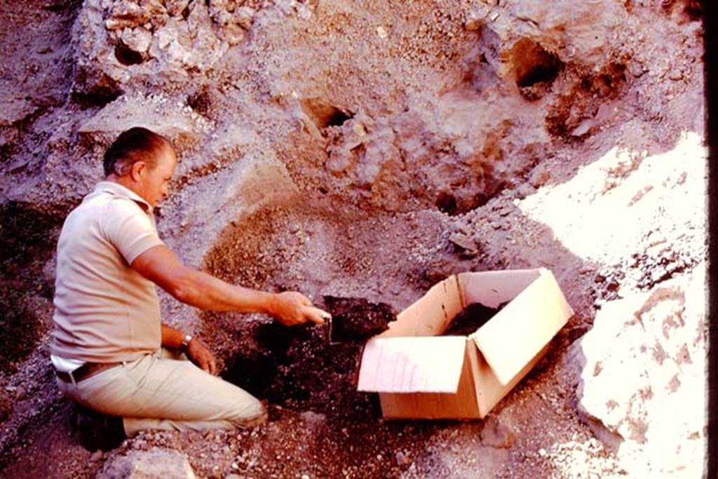 Oplontis, Villa of Lucius Crassius Tertius. 1978. Excavating burnt material. 
Photo by Stanley A. Jashemski.   
Source: The Wilhelmina and Stanley A. Jashemski archive in the University of Maryland Library, Special Collections (See collection page) and made available under the Creative Commons Attribution-Non Commercial License v.4. See Licence and use details.
J78f0607
