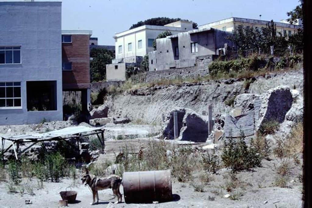 Oplontis, Villa of Lucius Crassius Tertius. 1975. Looking west. Photo by Stanley A. Jashemski.   
Source: The Wilhelmina and Stanley A. Jashemski archive in the University of Maryland Library, Special Collections (See collection page) and made available under the Creative Commons Attribution-Non Commercial License v.4. See Licence and use details.
J75f0423
