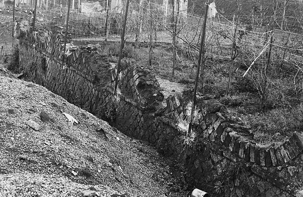 Stabiae, Villa del Pastore. 1980s? Wall with inverted arch pattern. Photo courtesy Comitato per gli Scavi di Stabia.