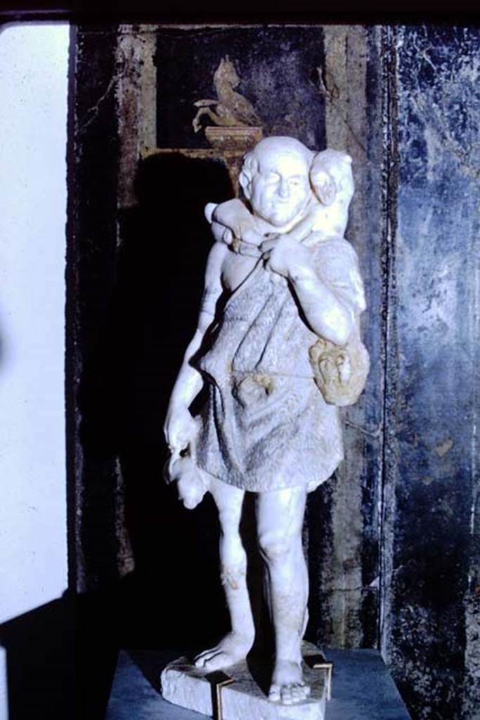 Castellamare di Stabia, Villa del Pastore. 1968.  Photo by Stanley A. Jashemski.
Source: The Wilhelmina and Stanley A. Jashemski archive in the University of Maryland Library, Special Collections (See collection page) and made available under the Creative Commons Attribution-Non Commercial License v.4. See Licence and use details.
J68f1872

According to Wilhelmina,-
At Stabia in the Villa del Pastore in 1967, a statue of a shepherd was uncovered, clothed in a rough skin, carrying a young goat on his shoulders, a hare in his right hand, and slipped over his left arm, a basket filled with fruit and grain.
The statue still showing traces of its original colours with which it had been painted, was uncovered in a garden, near a large rectangular pool located in front of the semi-circular exedra on the south in the villa. 
A beautiful two handled marble fountain basin had been found the previous year. 
See Jashemski, W. F., 1993. The Gardens of Pompeii, Volume II: Appendices. New York: Caratzas, pp. 311-2.
