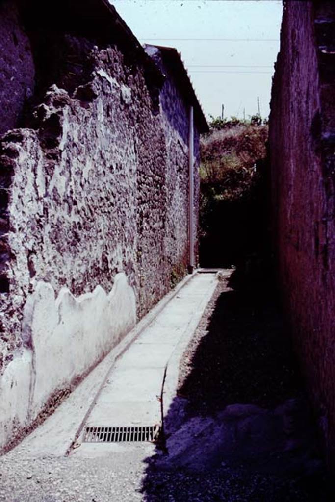 Stabiae, Secondo Complesso, 1976. A small roadway separating the Villa Arianna, from another villa on its east - the Second Complex.
Photo by Stanley A. Jashemski.   
Source: The Wilhelmina and Stanley A. Jashemski archive in the University of Maryland Library, Special Collections (See Collection page) and made available under the Creative Commons Attribution-Non Commercial License v.4. See Licence and use details.
J76f0528
