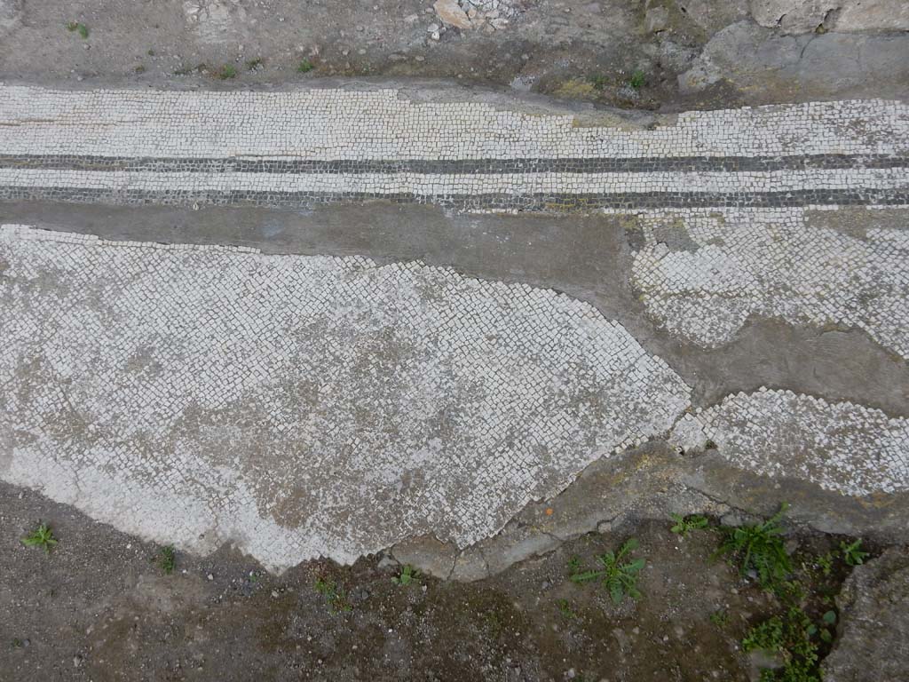 Stabiae, Secondo Complesso, June 2019. Room 12, detail of mosaic flooring. Photo courtesy of Buzz Ferebee.
Pisapia numbers this floor as number 105.
See PISAPIA, M. S. 1989, in Mosaici antichi in Italia, Regione prima. Stabia, Roma, (p. 55).


