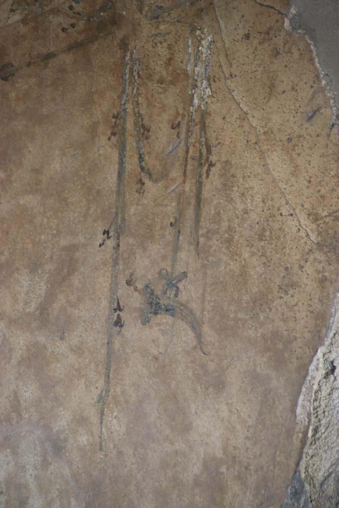 Stabiae, Villa Arianna, September 2021. 
Room M, detail of painted decoration from south wall. Photo courtesy of Klaus Heese.
