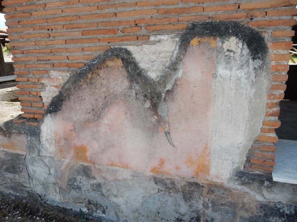 Stabiae, Villa Arianna, June 2019. Painted decoration on south wall of terrace, with window to garden D, on left, and to room E, on right
Photo courtesy of Buzz Ferebee.
