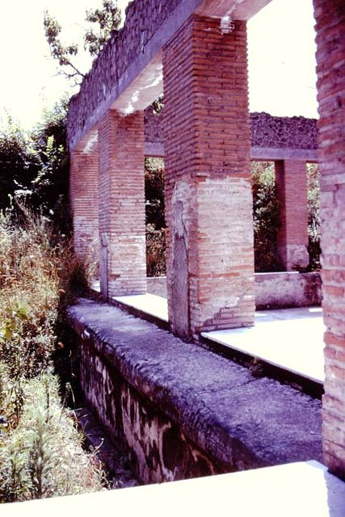 Villa Arianna, 1976. Looking south along east side of summer triclinium. Photo by Stanley A. Jashemski.   
Source: The Wilhelmina and Stanley A. Jashemski archive in the University of Maryland Library, Special Collections (See collection page) and made available under the Creative Commons Attribution-Non Commercial License v.4. See Licence and use details. J76f0522
