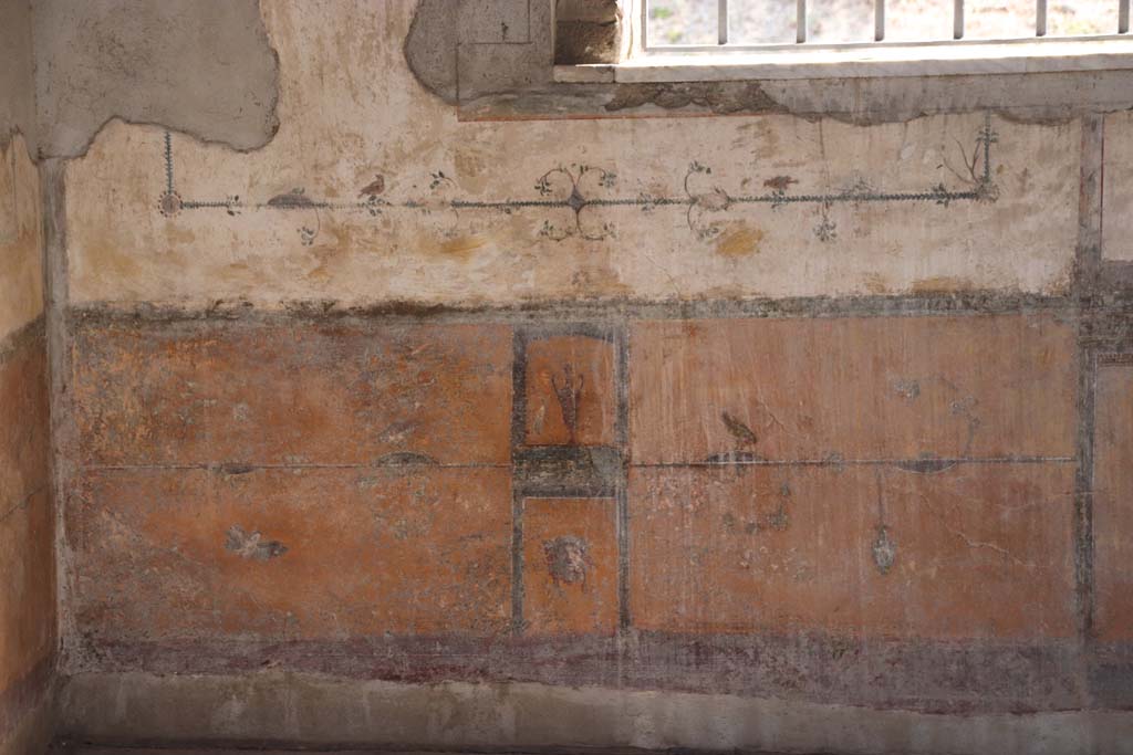 Stabiae, Villa Arianna, September 2021. 
Room 12, looking towards zoccolo/dado on south wall beneath window. Photo courtesy of Klaus Heese.
