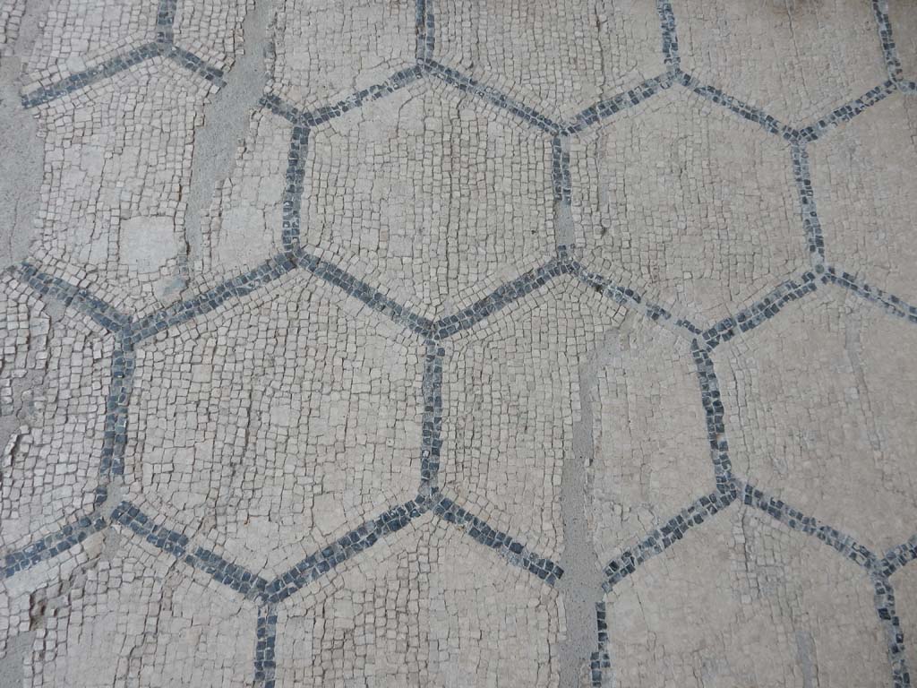 Stabiae, Villa Arianna, June 2019. Room 9, detail of flooring. Photo courtesy of Buzz Ferebee.