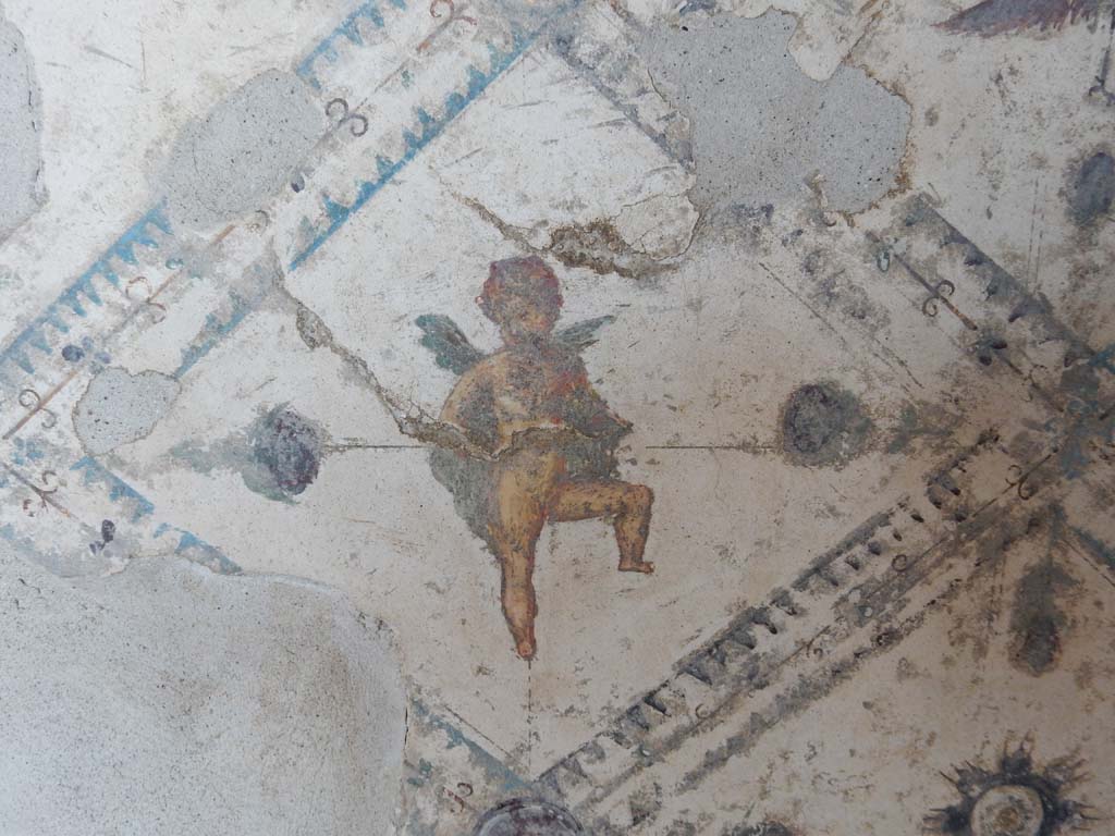 Stabiae, Villa Arianna, June 2019. Room 9, detail of painted panel from south wall. Photo courtesy of Buzz Ferebee. 