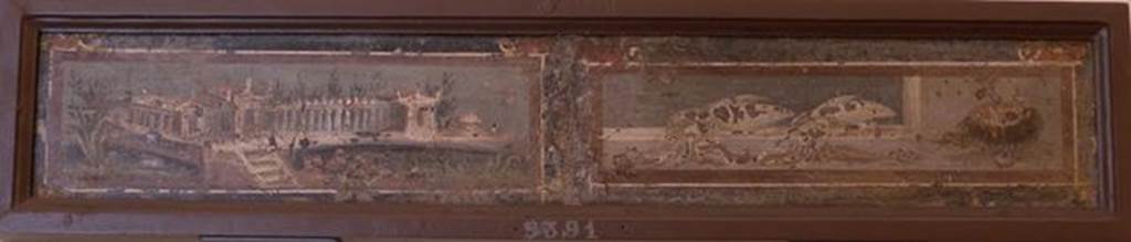Stabiae, Villa Arianna, found 15th March 1760. Room 7, two paintings, one of architectural marine landscape and the other a still life with two cuttlefish.
Now in Naples Archaeological Museum. Inventory number 9391.
See Sampaolo V. and Bragantini I., Eds, 2009. La Pittura Pompeiana. Electa: Verona, p. 459.
See Pagano, M. and Prisciandaro, R., 2006. Studio sulle provenienze degli oggetti rinvenuti negli scavi borbonici del regno di Napoli.  Naples: Nicola Longobardi, p. 245.
