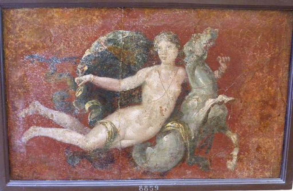 Stabiae, Villa Arianna, found 30th April 1760. Ante camera to room 3, painting of nereid on a sea horse.
Now in Naples Archaeological Museum. Inventory number 8859. 
See Pagano, M. and Prisciandaro, R., 2006. Studio sulle provenienze degli oggetti rinvenuti negli scavi borbonici del regno di Napoli.  Naples: Nicola Longobardi, p. 245.
See Sampaolo V. and Bragantini I., Eds, 2009. La Pittura Pompeiana. Electa: Verona, p. 449.
