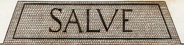 Stabiae, Villa Arianna, SALVE threshold, as shown in floor mosaic, numbered 41 in Gli Ornati. 
According to Gardelli and Ariano –
It is important to note, however, that it is incorrectly reported in the 1838 edition that the SALVE mosaic represented in the volume is the one found in 1785 in the so-called Casa del Salve (or Casa delle Vestali) in Pompeii. The one shown was from Villa Arianna, Stabia.
In contrast the one from Stabiae is made with black tesserae on a white monochrome background and is enclosed by a trapezoidal black band. 
According to Gardelli and Ariano –
“The oblique shape of the mosaic threshold is not in its original form. 
Its current form is in fact the result of a subsequent modification by the court artists in order to adapt the threshold to the trapezium between the squares of the window of room 14 on the first floor of the Palazzo Caramanico and it is in this form that it appears in “Gli Ornati”.
“The SALVE threshold was inserted into the floor of room 46 on the ground floor of the building that houses the current MANN, maintaining its acquired trapezoidal shape”.
See Gli ornati delle pareti ed i pavimenti delle stanze dell'antica Pompei incisi in rame: 1838, tav. 41.
See Gardelli, P., and Ariano, C. Two lesser-known mosaic floors from the 18th Century excavations of Villa Arianna at Stabia. (p.139-142).

