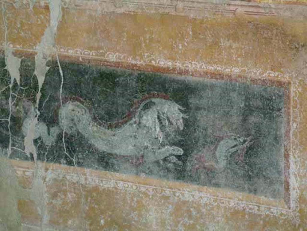 Stabiae, Villa Arianna, April 2005. Room 42, painted zoccolo on west wall.
Photo courtesy of Michael Binns.