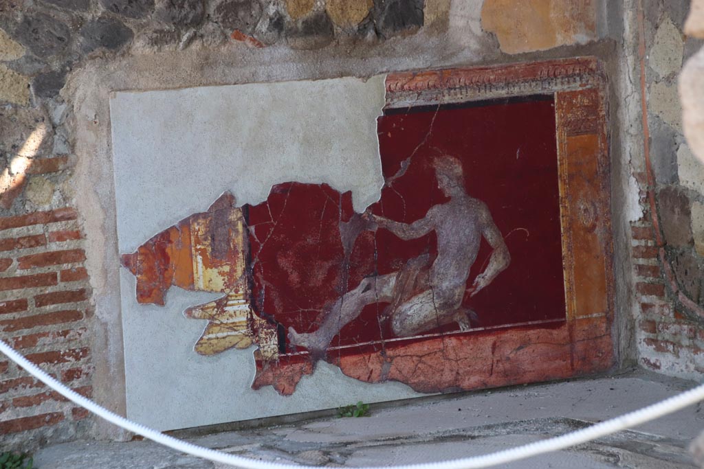 Stabiae, Villa Arianna, October 2022.
Room 17, detail of painted zoccolo on east wall in south-east corner. Photo courtesy of Klaus Heese.
This painting is described as a “Crouching male with serpent”, height 95cm x 1.13m width (37” x 45 inches).
A nude male figure, in a most precarious position, is shown half-kneeling as if recoiling from the advance of a serpent.
On his right outstretched leg, a live serpent tightens its grip around the man’s bare flesh. With a staff in his left arm, it is supposed that he is charming or controlling the serpent. This depiction of man versus beast would have been seen with strong sexual undertones in the villas at Stabiae. An identical fresco was found on the west wall in the south-west corner of the same room.