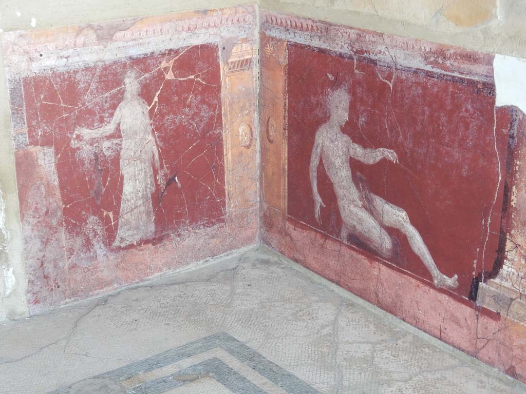 Stabiae, Villa Arianna, June 2019. Room 17, detail of painted panels on zoccolo in south-west corner.
Photo courtesy of Buzz Ferebee.