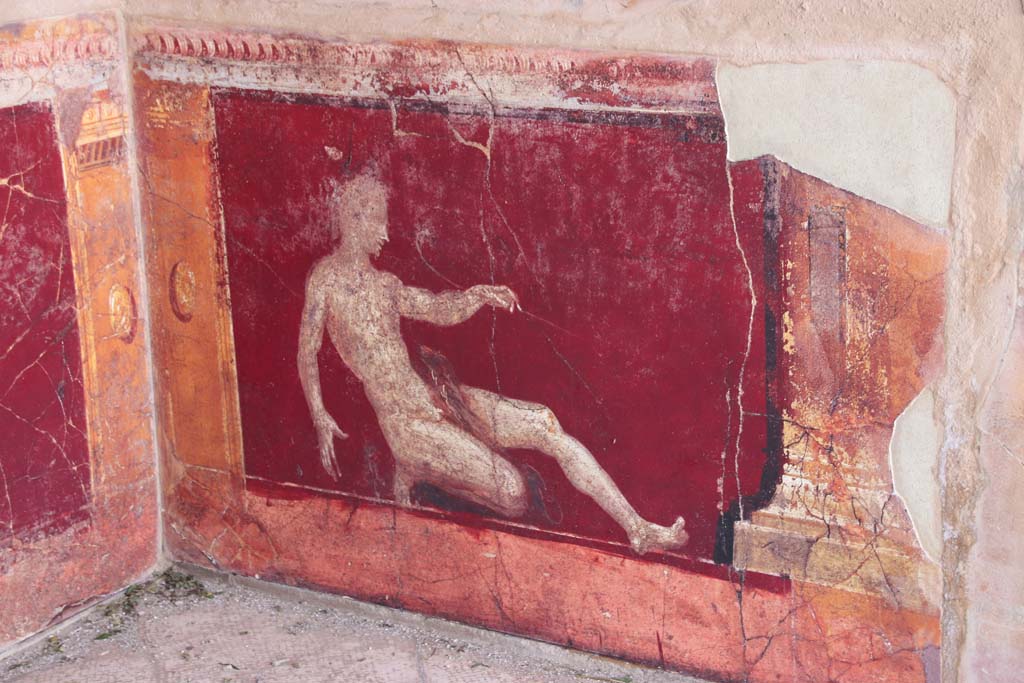 Stabiae, Villa Arianna, September 2021.
Room 17, detail of painted figure from west wall in south-west corner. Photo courtesy of Klaus Heese.
This painting is described as a “Crouching male with serpent”, height 95cm x 1.13m width (37” x 45 inches).
A nude male figure, in a most precarious position, is shown half-kneeling as if recoiling from the advance of a serpent.
On his left outstretched leg, a live serpent tightens its grip around the man’s bare flesh. With a staff in his left arm, it is supposed that he is charming or controlling the serpent. This depiction of man versus beast would have been seen with strong sexual undertones in the villas at Stabiae. An identical fresco was found on the east wall in the south-east corner of the same room.