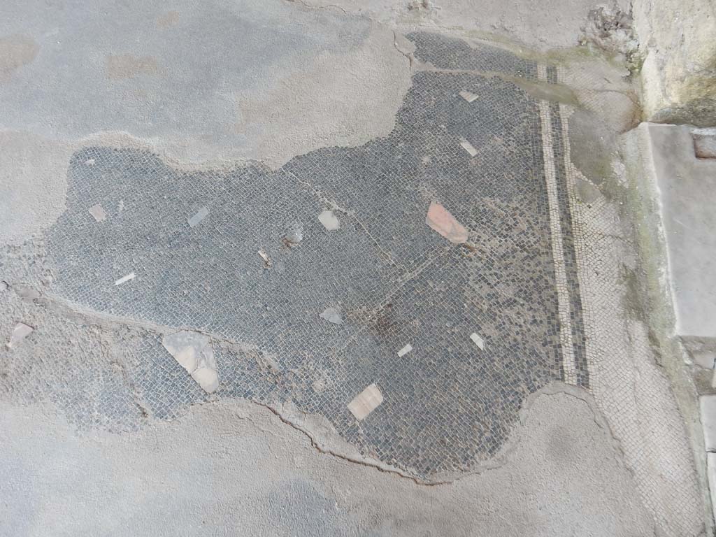 Stabiae, Villa Arianna, June 2019. Room 34, mosaic flooring near threshold into room 40, on right.
Photo courtesy of Buzz Ferebee.