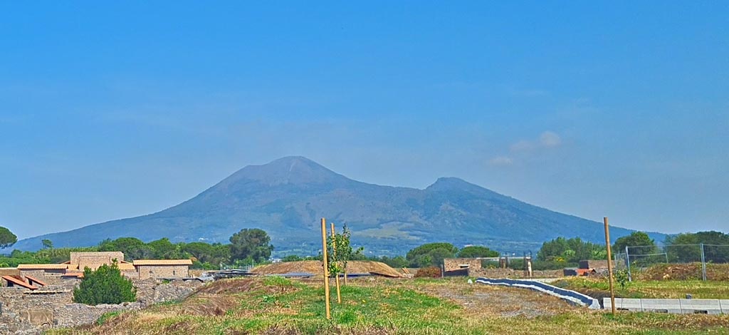 Vesuvius, June 2024. Looking north from near Casina dell’Aquila. Photo courtesy of Giuseppe Ciaramella.