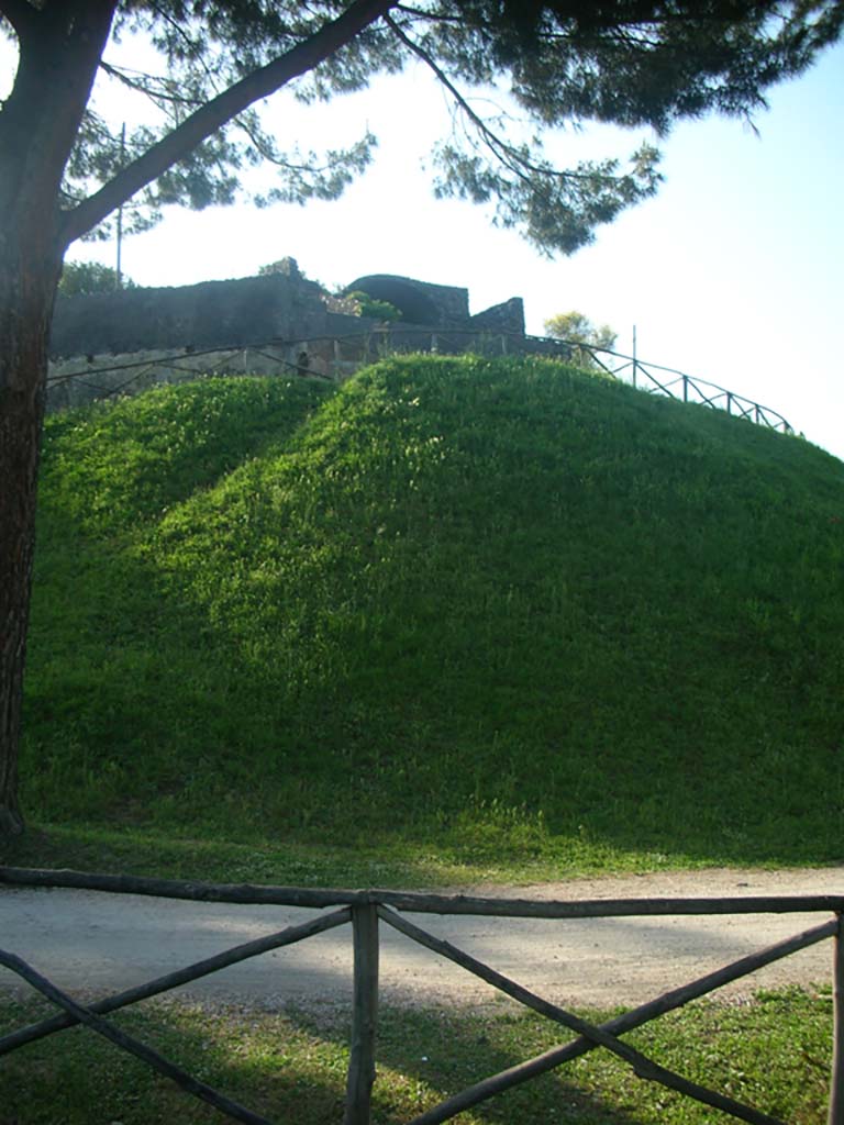 City Walls on south side in south-east corner, Pompeii. May 2010.  
Looking north towards Tower V. Photo courtesy of Ivo van der Graaff.
